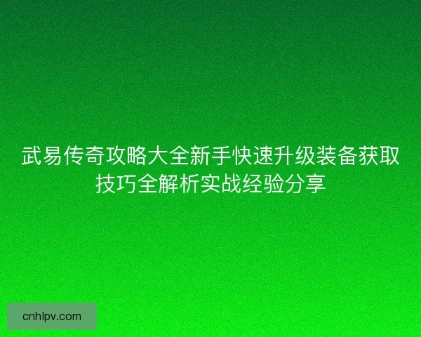 武易传奇攻略大全新手快速升级装备获取技巧全解析实战经验分享 武易传奇攻略大全新手快速升级装备获取技巧全解析实战经验分享