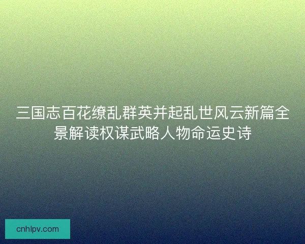 三国志百花缭乱群英并起乱世风云新篇全景解读权谋武略人物命运史诗